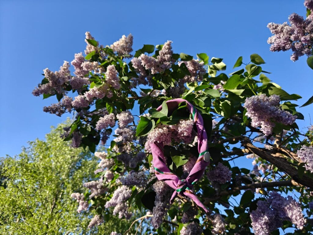 Viikottaiset kokoukset kesätauolle - Lue lisää